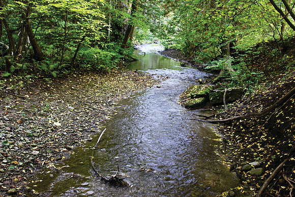 orono_creek
